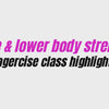 Vagercise Pelvic Floor Exercise and Education Course